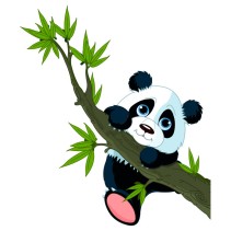 Vinilos infantiles oso panda y rama árbol