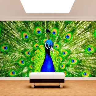 Fotomural Pavo Real Fotomural Pavo Real