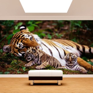 Fotomural Tigre con Crias Fotomural Tigre con Crias