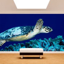 Fotomural Tortuga de Mar Azul