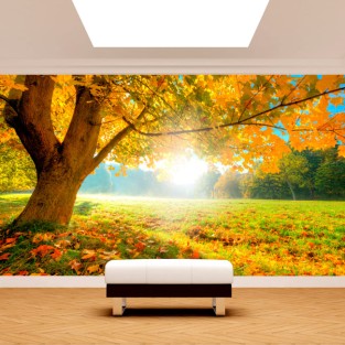 Fotomural vinilos árbol en el campo