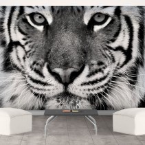 Fotomural tigre en vinilo