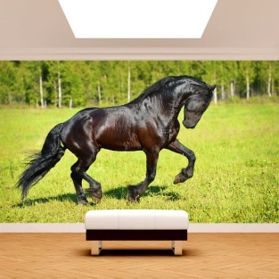 Fotomural vinilo caballo en el campo