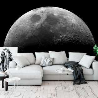 Fotomurales vinilos superficie luna