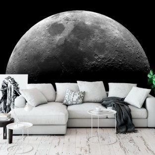 Fotomurales vinilos superficie luna Fotomurales vinilos superficie luna