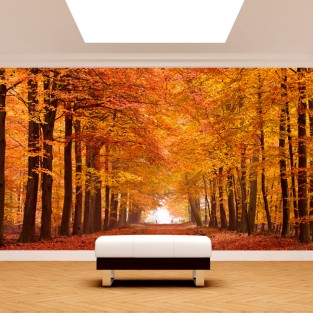 Fotomurales vinilo camino y árboles otoño