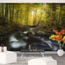 Fotomurales vinilo río naturaleza en otoño