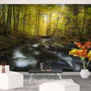 Fotomurales vinilo río naturaleza en otoño