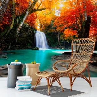 Fotomurales de vinilos cascada en otoño