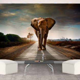 Fotomurales de vinilos elefante Fotomurales de vinilos elefante