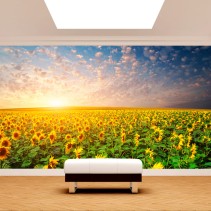 Fotomurales vinilos girasoles