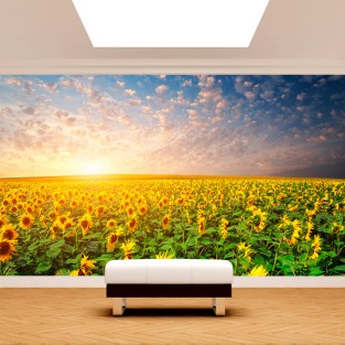 Fotomurales vinilos girasoles
