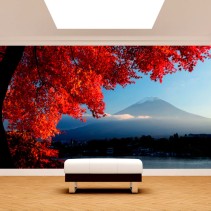 Fotomurales monte fuji paredes