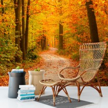 Fotomurales vinilos bosque en otoño