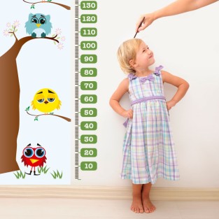 Vinilo medidor pájaros búhos naturaleza (medida: 73 x 160 cm)