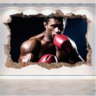 Vinilos 3d boxeo Vinilos 3d boxeo