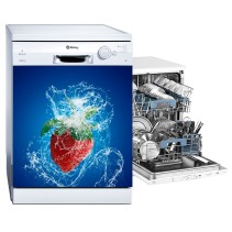 Vinilos adhesivos lavavajillas fresa splash
