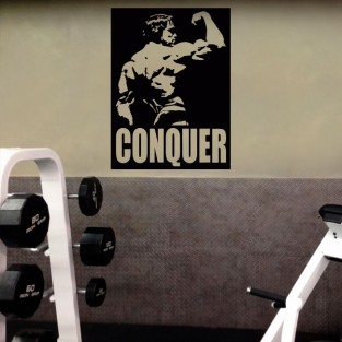 Vinilos decorativos para gimnasios sylvester stallone Vinilos decorativos para gimnasios sylvester stallone