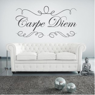 Vinilos decorativos pegatinas carpe diem