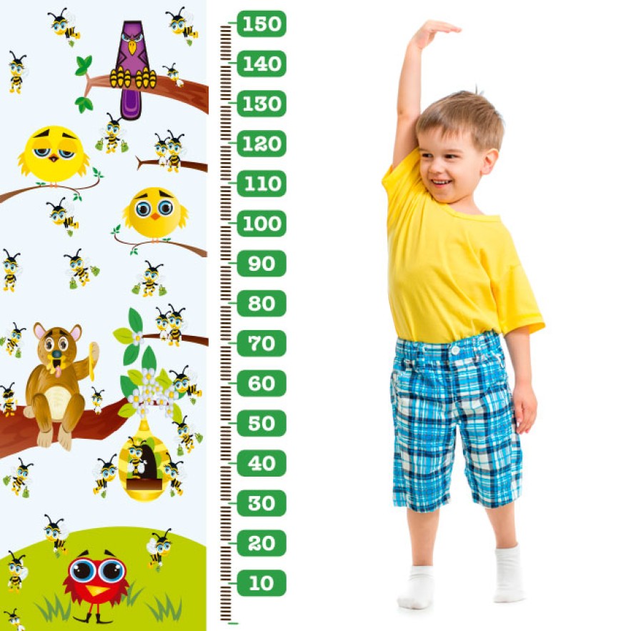 Vinilos decorativos infantiles medidor abejas y pájaros (medida: 73 x 160 cm)