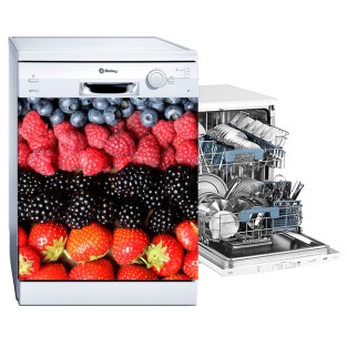 Vinilos electrodoméstico para lavavajillas fruits collage Vinilos electrodoméstico para lavavajillas fruits collage