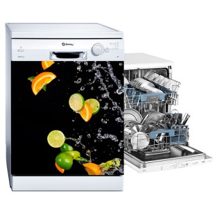 Vinilos electrodomésticos lavavajillas naranjas y limones