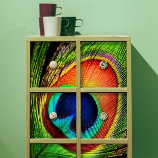 Vinilos para muebles o armarios pluma pavo real Vinilos para muebles o armarios pluma pavo real