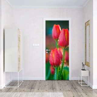 Vinilos decorativos puertas flores tulipanes