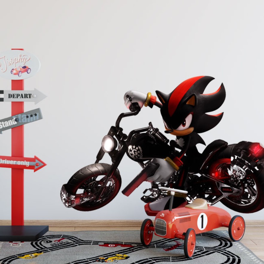 Vinilos y pegatinas videojuego sonic con moto