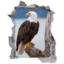 Vinilo agujero 3d águila calva americana