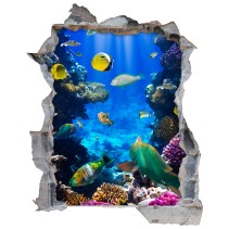 Vinilo agujero 3d peces en el arrecife