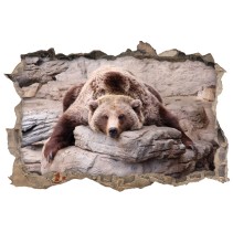 Vinilo decorativo agujero 3d oso grizzly