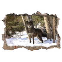 Vinilos decorativos agujero 3d lobo en el bosque