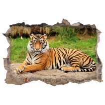 Vinilo decorativo agujero 3d tigre de bengala
