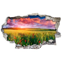 Vinilos agujero 3d atardecer en el campo de amapolas