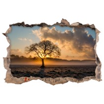 Vinilos agujeros 3d árbol y puesta de sol