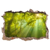 Vinilos agujero 3d rayos de sol en el bosque