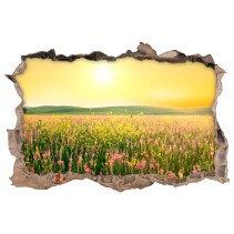 Vinilos agujero3d flores en el campo al atardecer