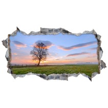 Vinilos agujero 3d atardecer en el campo
