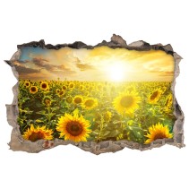 Vinilos agujero pared atardecer campo de girasoles 3d