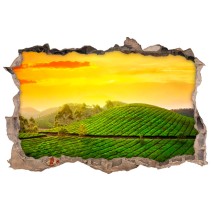 Vinilo agujero 3d india atardecer en el campo