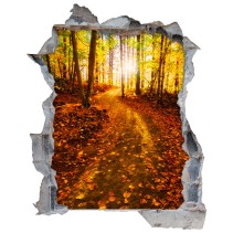 Vinilos agujero 3d atardecer en bosque otoñal