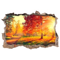Vinilo agujero 3d atardecer con árboles en otoño