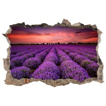 Vinilos agujero 3d atardecer en el campo de lavanda