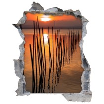 Vinilos agujero 3d atardecer albufera valencia