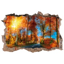 Vinilos agujero 3d carretera en otoño