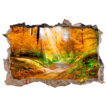 Vinilos agujero 3d camino árboles otoño