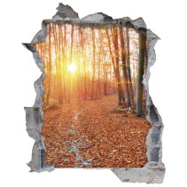 Vinilos agujero 3d atardecer en el bosque
