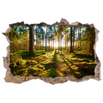 Vinilos agujero 3d puesta de sol en el bosque