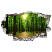Vinilos agujero 3d árboles en el bosque